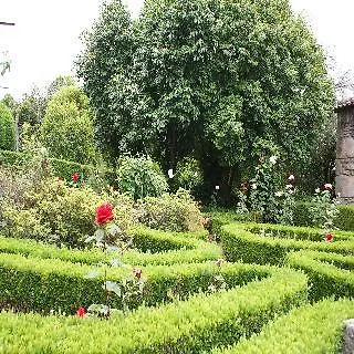 Casa De Rodas *